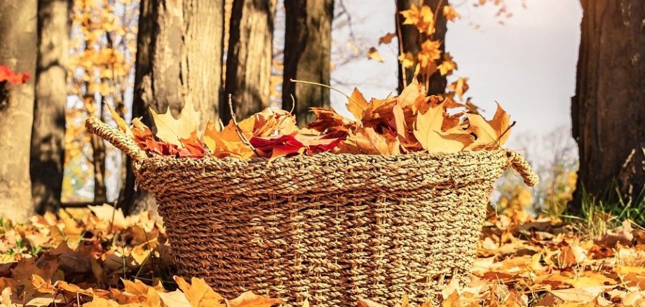 Laubkorb