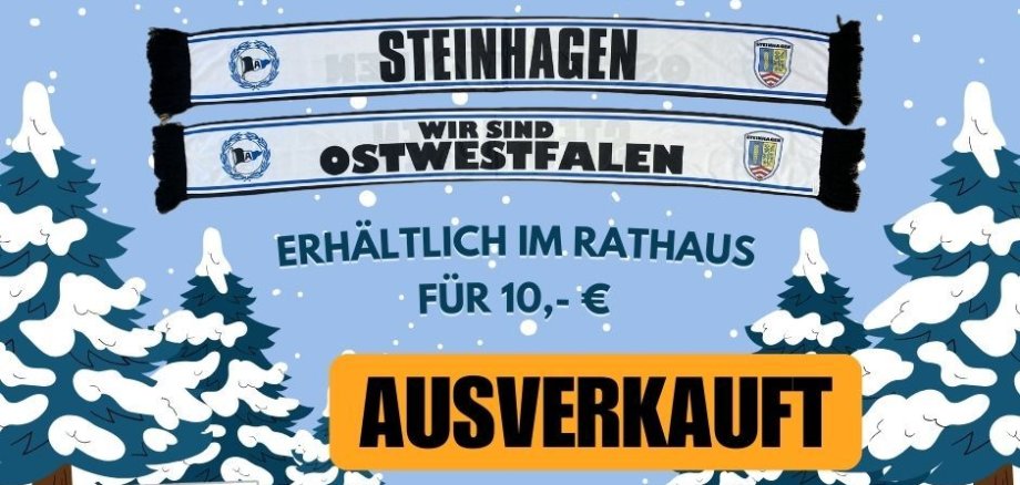 FAN-SCHAL ARMINIA/STEINHAGEN - 1