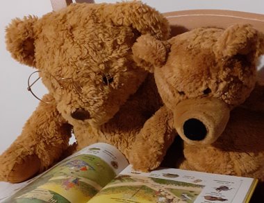 Lesende Teddybären