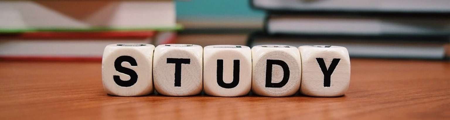 Würfel mit der Aufschrift "study"