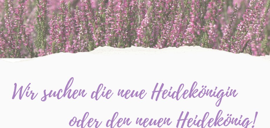 Wir suchen die neue Heidekönigin! - 1 Wir suchen die neue Heidekönigin! - 1