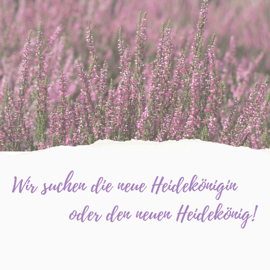 Wir suchen die neue Heidekönigin! - 1 Wir suchen die neue Heidekönigin! - 1