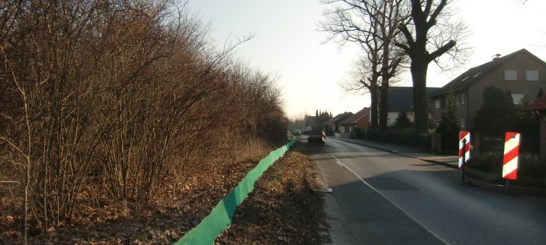 Amphibienzaun Lange Straße