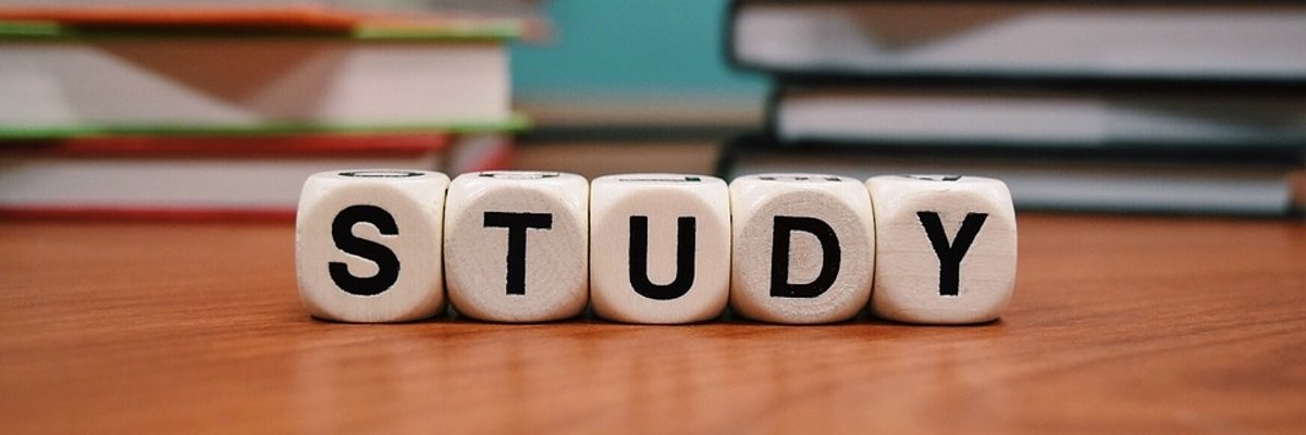 Würfel mit der Aufschrift "study"