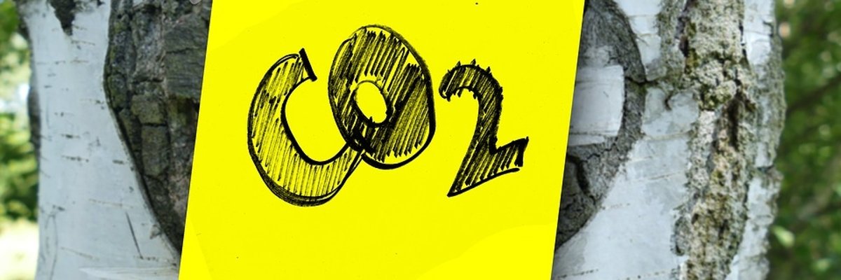 co2.jpg