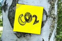 co2 Schild am Baum