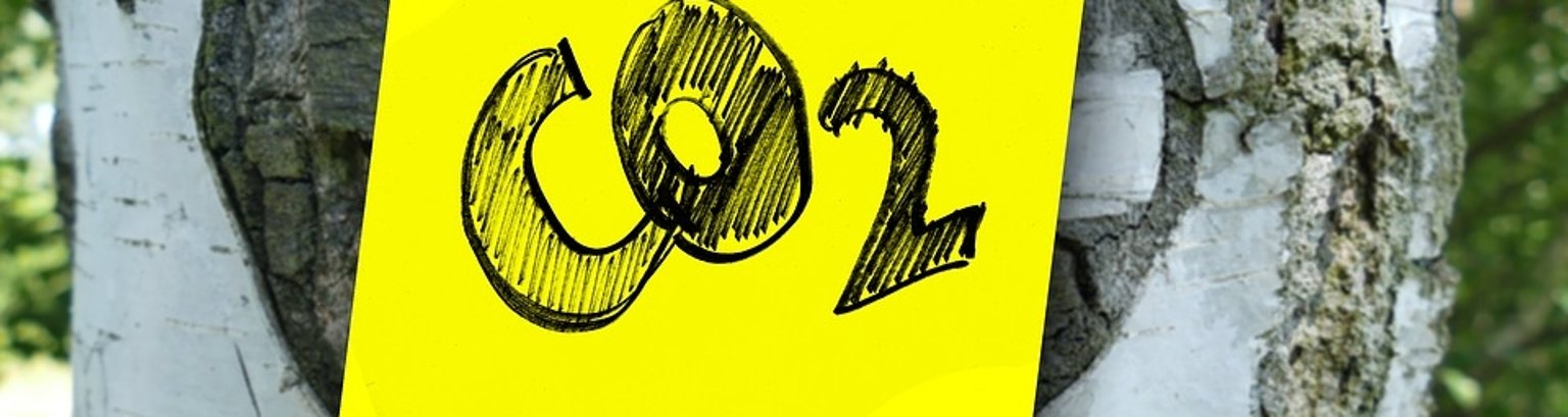 co2.jpg